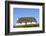 Uk, Scotland, Outer Hebrides-John Warburton-lee-Framed Photographic Print