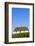 Uk, Scotland, Outer Hebrides-John Warburton-lee-Framed Photographic Print