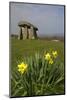 UK, Wales, Newport. Pentre Ifan Cromlech, a well, preserved ancient burial chamber (dolman).-Kymri Wilt-Mounted Photographic Print