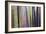 Uk Woodland-Don Hooper-Framed Photographic Print