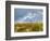 Uk; Yorkshire; a Covey of Grouse Fly Low and Fast over the Heather on Bingley and Ilkley Moor-John Warburton-lee-Framed Photographic Print