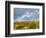 Uk; Yorkshire; a Covey of Grouse Fly Low and Fast over the Heather on Bingley and Ilkley Moor-John Warburton-lee-Framed Photographic Print