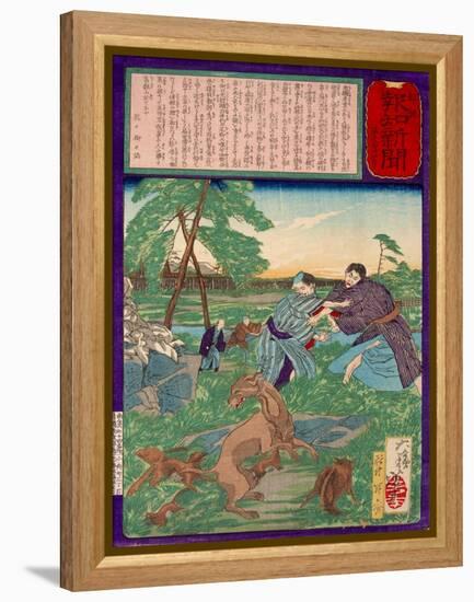 Ukiyo-E Newspaper: Racoons Saves a Weasel from a Vicious Dog-Yoshitoshi Tsukioka-Framed Premier Image Canvas