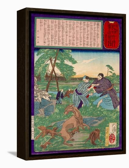 Ukiyo-E Newspaper: Racoons Saves a Weasel from a Vicious Dog-Yoshitoshi Tsukioka-Framed Premier Image Canvas