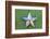 Ukraine, Pripyat, Chernobyl. Decorative silver Soviet star on a green wall.-Emily Wilson-Framed Photographic Print