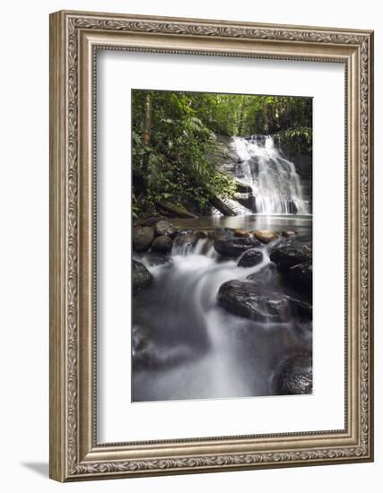 Ula Temburong National Park, Brunei, Borneo, Southeast Asia-Christian-Framed Photographic Print