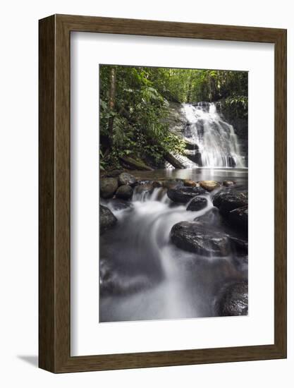 Ula Temburong National Park, Brunei, Borneo, Southeast Asia-Christian-Framed Photographic Print