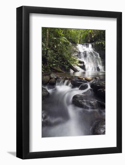 Ula Temburong National Park, Brunei, Borneo, Southeast Asia-Christian-Framed Photographic Print