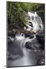 Ula Temburong National Park, Brunei, Borneo, Southeast Asia-Christian-Mounted Photographic Print