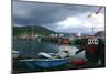 Ullapool Harbour on a Stormy Evening, Highland, Scotland-Peter Thompson-Mounted Photographic Print