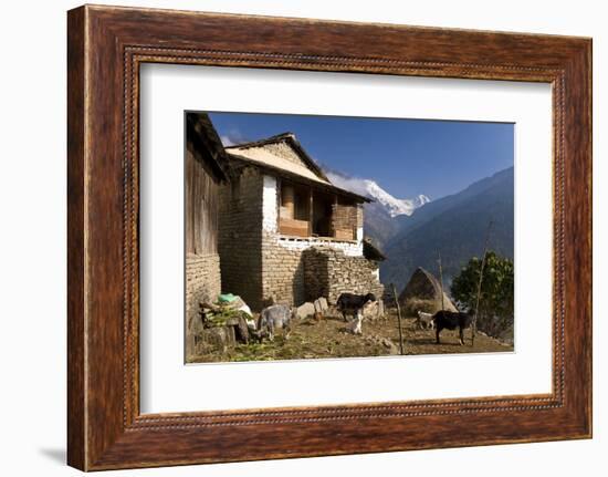 Ulleri Village, 2080 Metres, Annapurna Himal, Nepal, Himalayas, Asia-Ben Pipe-Framed Photographic Print