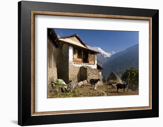 Ulleri Village, 2080 Metres, Annapurna Himal, Nepal, Himalayas, Asia-Ben Pipe-Framed Photographic Print