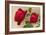 Ulrich Bruner Red Roses-null-Framed Art Print