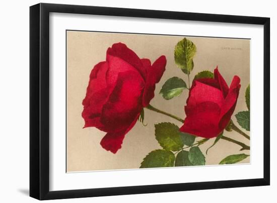 Ulrich Bruner Red Roses-null-Framed Art Print