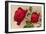 Ulrich Bruner Red Roses-null-Framed Art Print