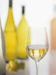 A Glass of White Wine and Wine Bottles in Background-Ulrike Koeb-Photographic Print