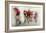 Ultimo Giro #2-Lou Urlings-Framed Giclee Print