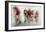 Ultimo Giro #2-Lou Urlings-Framed Giclee Print