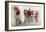 Ultimo Giro #2-Lou Urlings-Framed Giclee Print