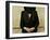 Ultra-Orthodox Jew Prays at the Western Wall in Jerusalem's Old City-null-Framed Photographic Print