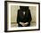 Ultra-Orthodox Jew Prays at the Western Wall in Jerusalem's Old City-null-Framed Photographic Print