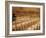 Ultra-Orthodox Jewish Man Sits During a Procession Bringing a Torah Scroll from the Western Wall-null-Framed Photographic Print