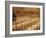 Ultra-Orthodox Jewish Man Sits During a Procession Bringing a Torah Scroll from the Western Wall-null-Framed Photographic Print