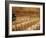 Ultra-Orthodox Jewish Man Sits During a Procession Bringing a Torah Scroll from the Western Wall-null-Framed Photographic Print