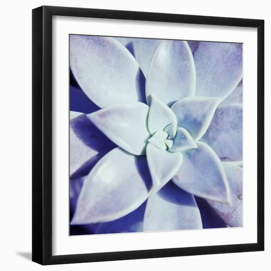 Ultra Violet I-Jason Johnson-Framed Photographic Print