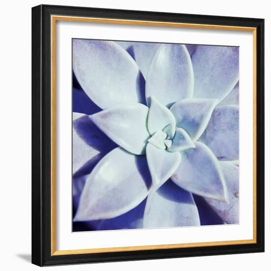 Ultra Violet I-Jason Johnson-Framed Photographic Print