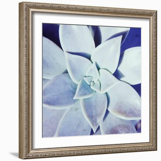 Ultra Violet II-Jason Johnson-Framed Photographic Print