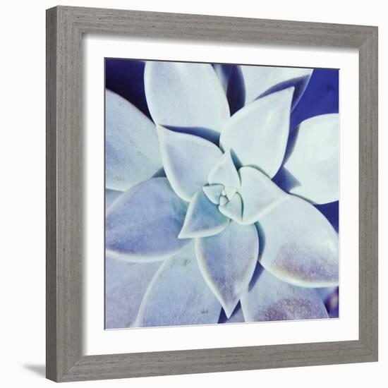 Ultra Violet II-Jason Johnson-Framed Photographic Print