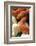 Ultramel Okeetee corn snake, with recently laid eggs-John Cancalosi-Framed Photographic Print