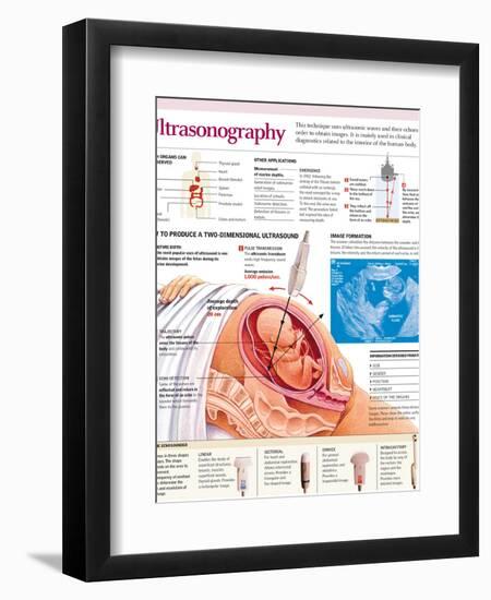 Photographic Print, , large