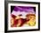 Ultrasound Scan of 20 Week Old Foetus (side View)-Science Photo Library-Framed Photographic Print