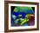 Ultrasound Scan of 20 Week Old Foetus (side View)-Science Photo Library-Framed Photographic Print