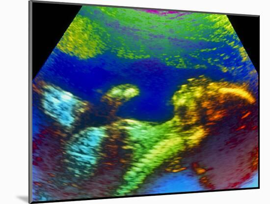 Ultrasound Scan of 20 Week Old Foetus (side View)-Science Photo Library-Mounted Photographic Print