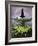 Ulun Danu Temple, Bali, Indonesia-Gavriel Jecan-Framed Photographic Print