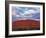 Uluru, Uluru-Kata Tjuta National Park, Northern Territory, Australia, Pacific-Pitamitz Sergio-Framed Photographic Print