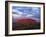 Uluru, Uluru-Kata Tjuta National Park, Northern Territory, Australia, Pacific-Pitamitz Sergio-Framed Photographic Print