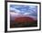 Uluru, Uluru-Kata Tjuta National Park, Northern Territory, Australia, Pacific-Pitamitz Sergio-Framed Photographic Print