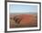 Uluru, Uluru-Kata Tjuta National Park, Northern Territory, Australia-Pitamitz Sergio-Framed Photographic Print