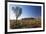 Uluru (UNESCO World Heritage Site), Uluru-Kata Tjuta National Park, Northern Territory, Australia-Ian Trower-Framed Photographic Print