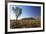 Uluru (UNESCO World Heritage Site), Uluru-Kata Tjuta National Park, Northern Territory, Australia-Ian Trower-Framed Photographic Print