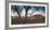 Uluru (UNESCO World Heritage Site), Uluru-Kata Tjuta National Park, Northern Territory, Australia-Ian Trower-Framed Photographic Print