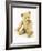 Ulysses, a White Steiff Teddy Bear, circa 1920-Steiff-Framed Giclee Print