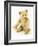 Ulysses, a White Steiff Teddy Bear, circa 1920-Steiff-Framed Giclee Print