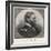 Ulysses S Grant American Civil War General and Later President-null-Framed Photographic Print