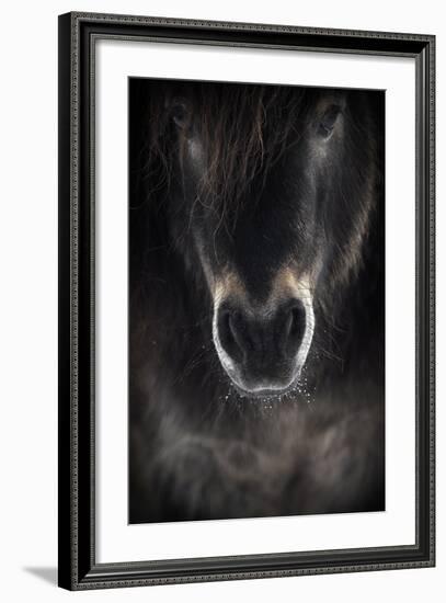 Ulysses-P R I-Framed Photographic Print