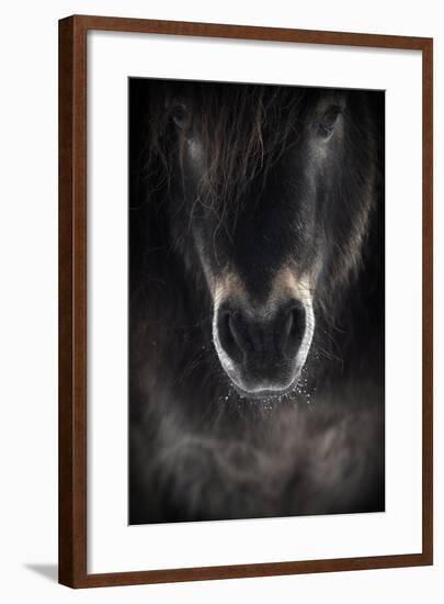 Ulysses-P R I-Framed Photographic Print